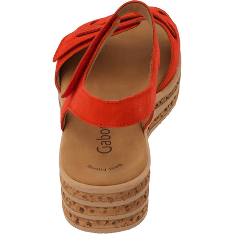 44.553 pumpkin (rot)