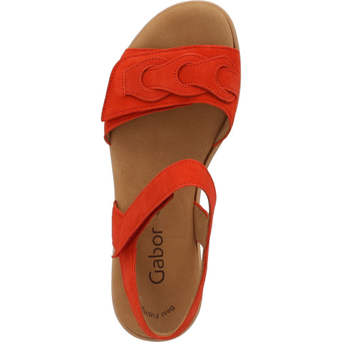 44.553 pumpkin (rot)