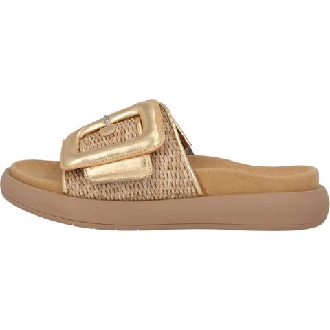 43.754 silber (uni+gold)