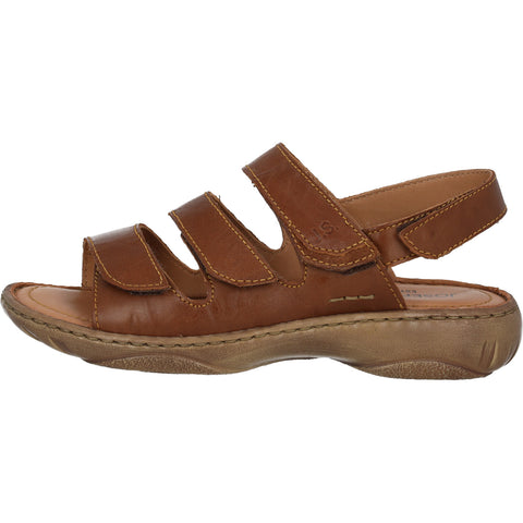 7675788 Braun (Castagne)